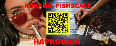 гидра Новозыбков