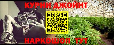 гидра Новозыбков
