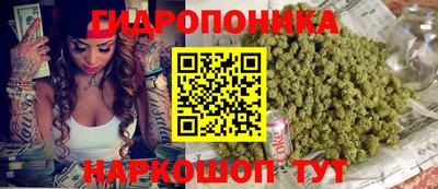 гидра Новозыбков
