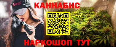 гидра Новозыбков