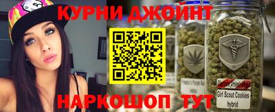 гидра Новозыбков