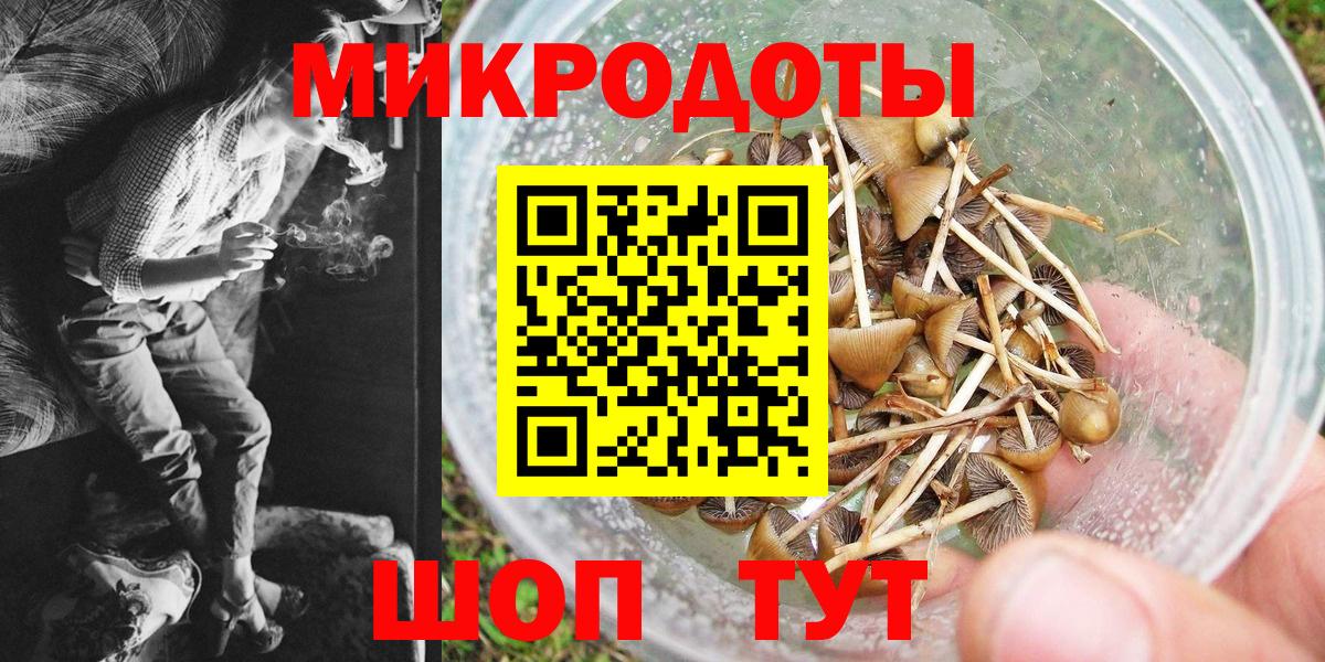 Тольятти  Псилоцибиновые грибы MAGIC MUSHROOMS  Вход с VPN  Галлюциногенные грибы GOLDEN TEACHER 